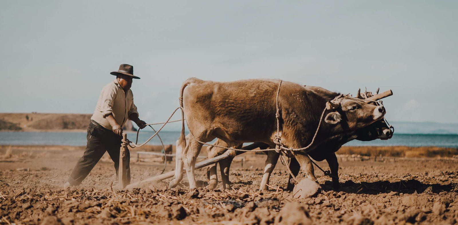 Agrocercas Proyectos Terminados