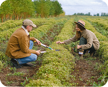 Developing Health Concepts for Ecological Agriculture